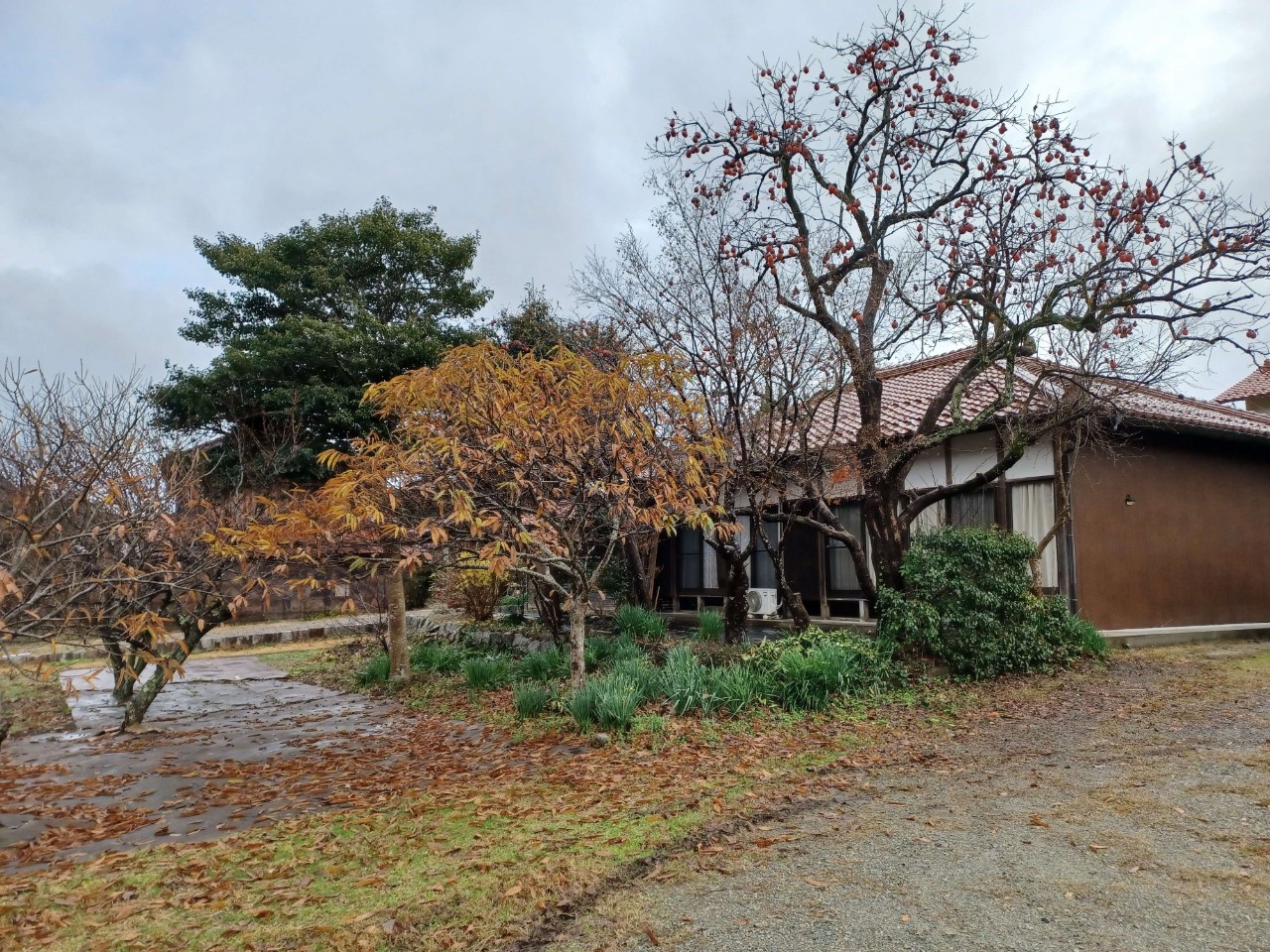 detached 三刀屋町三刀屋