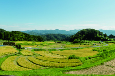 雲南で農業はじめませんか？