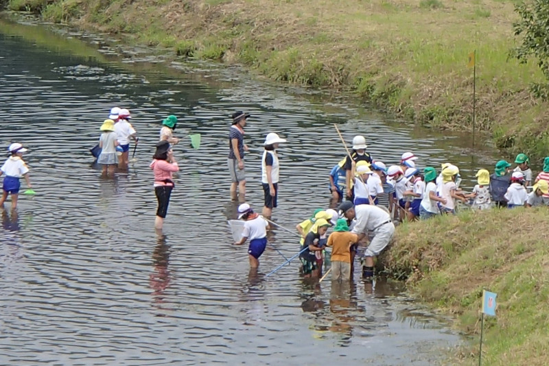 水辺の遊び